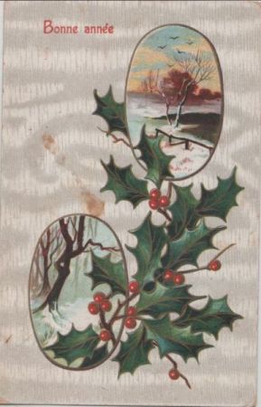 Bonne annee - Neujahr Bonne annee - Neujahr