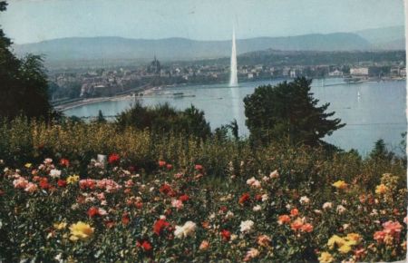 Genf - Schweiz - Le Lac Genf - Schweiz - Le Lac