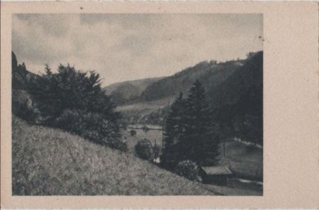 Ein Blick ins Tal - ca. 1955 Ein Blick ins Tal - ca. 1955
