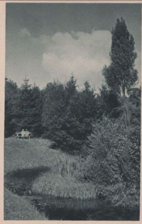 Bad Salzuflen - Einsamer Winkel im Kurpark - ca. 1950 Bad Salzuflen - Einsamer Winkel im Kurpark - ca. 1950