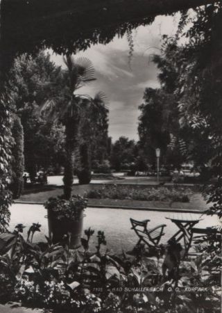 Österreich - Bad Schallerbach - Kurpark - ca. 1965 Österreich - Bad Schallerbach - Kurpark - ca. 1965