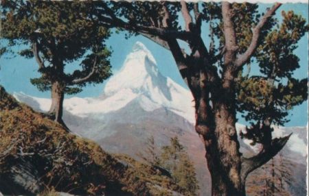 Zermatt - Schweiz - Blick aus dem Arvenwald Zermatt - Schweiz - Blick aus dem Arvenwald