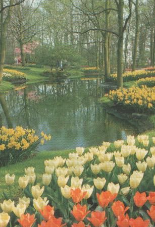 Niederlande - Keukenhof - Lisse-Holland - ca. 1975 Niederlande - Keukenhof - Lisse-Holland - ca. 1975