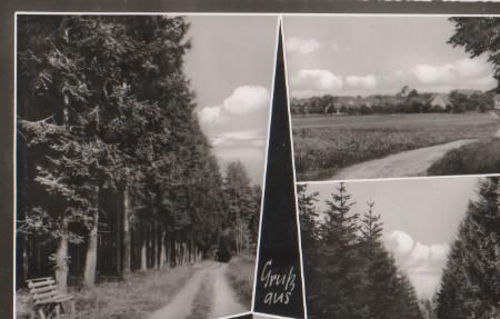 Neubulach - Martinsmoos Schwarzwald - 1967 Neubulach - Martinsmoos Schwarzwald - 1967