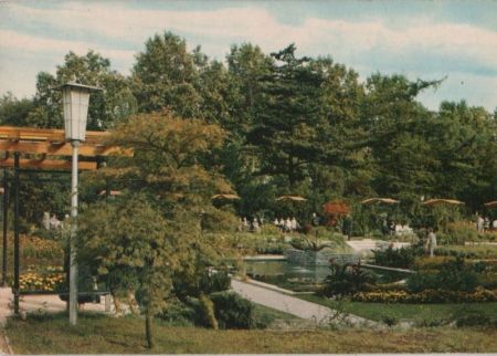 Frankfurt Main - Palmengarten, Seerosenteich - ca. 1975 Frankfurt Main - Palmengarten, Seerosenteich - ca. 1975