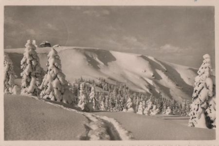 Feldberg / Schwarzwald - Blick auf Feldbergturm und Zastlerhalde - 1954 Feldberg / Schwarzwald - Blick auf Feldbergturm und Zastlerhalde - 1954