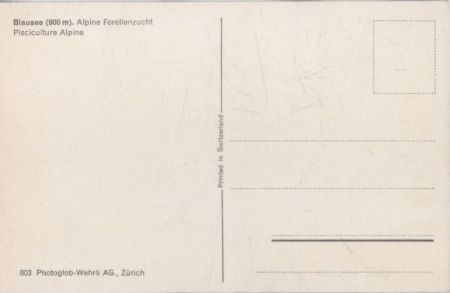 Blausee - Schweiz - Alpine Forellenzucht