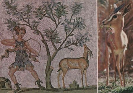 Tunesien - Tunesien - Mosaik von Bardo und Gazelle der Sahara - ca. 1985 Tunesien - Tunesien - Mosaik von Bardo und Gazelle der Sahara - ca. 1985