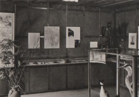 Neuruppin - Stendenitz Waldmuseum innen - ca. 1965 Neuruppin - Stendenitz Waldmuseum innen - ca. 1965