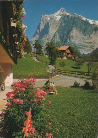 Schweiz - Grindelwald - Wetterhorn - ca. 1975 Schweiz - Grindelwald - Wetterhorn - ca. 1975