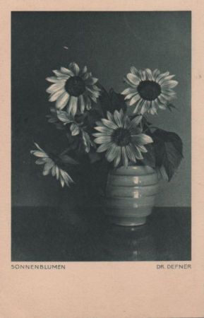 Strauß Sonnenblumen Strauß Sonnenblumen