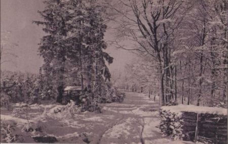 Winterlandschaft mit Schnee Winterlandschaft mit Schnee