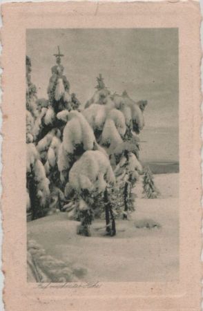 Winterbild - auf verschneiter Höhe Winterbild - auf verschneiter Höhe