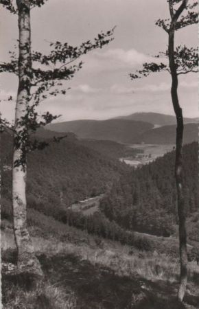 Willingen-Schwalefeld - Schwalefelder Tal - 1958 Willingen-Schwalefeld - Schwalefelder Tal - 1958