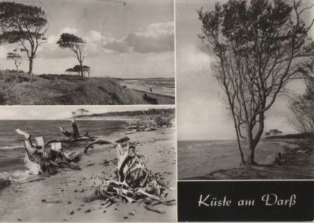 Darß - Küste - 1973 Darß - Küste - 1973