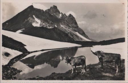 Schweiz - Parsenn - Bergseeli - ca. 1960 Schweiz - Parsenn - Bergseeli - ca. 1960