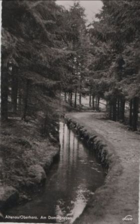 Altenau - Am Dammgraben - 1955 Altenau - Am Dammgraben - 1955