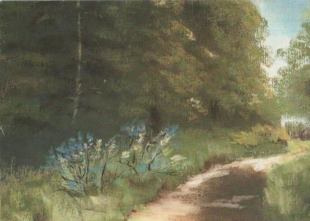 G. Bracker - Blaue Blüten am Weg - 2004 G. Bracker - Blaue Blüten am Weg - 2004