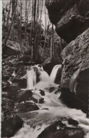 Zwingenberg - Partie in der Wolfsschlucht - ca. 1960 Zwingenberg - Partie in der Wolfsschlucht - ca. 1960