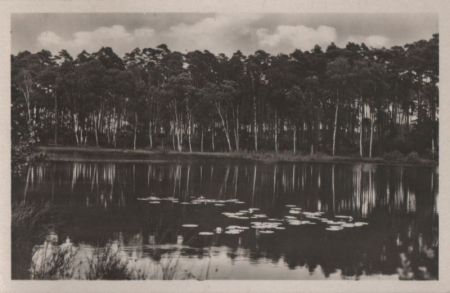 Waren (Müritz) - Wienpitschsee - 1952 Waren (Müritz) - Wienpitschsee - 1952