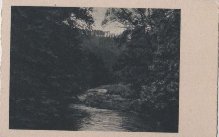 Ruhig fließender Waldbach - ca. 1955 Ruhig fließender Waldbach - ca. 1955
