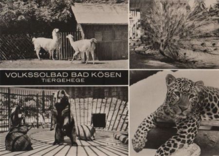 Bad Kösen - Tiergehege - 1971 Bad Kösen - Tiergehege - 1971