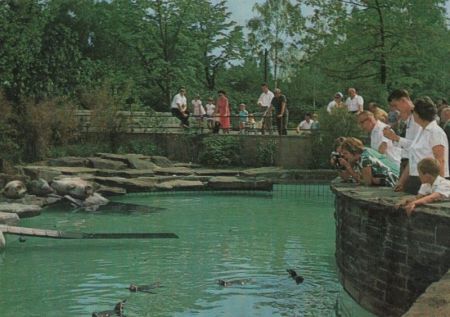 Essen - Bundesgartenschau, Seehundbecken - 1965 Essen - Bundesgartenschau, Seehundbecken - 1965
