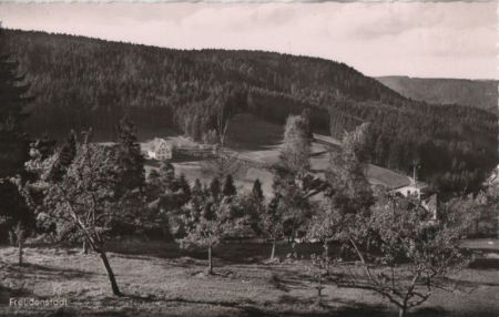 Freudenstadt - Blick ins Christofstal mit Bärenschlössle - ca. 1960 Freudenstadt - Blick ins Christofstal mit Bärenschlössle - ca. 1960