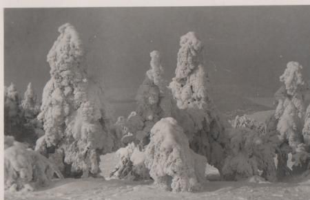 Königstein - Rückseite unbedruckt - ca. 1955 Königstein - Rückseite unbedruckt - ca. 1955