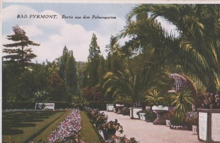 Bad Pyrmont - Partie aus Palmengarten - ca. 1935 Bad Pyrmont - Partie aus Palmengarten - ca. 1935