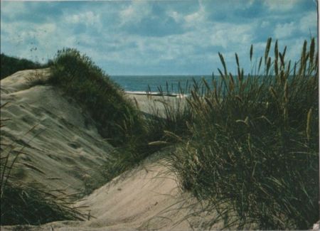 Dünen und Meer - 1975 Dünen und Meer - 1975