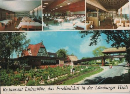 Walsrode - Restaurant Luisenhöhe - 1972 Walsrode - Restaurant Luisenhöhe - 1972
