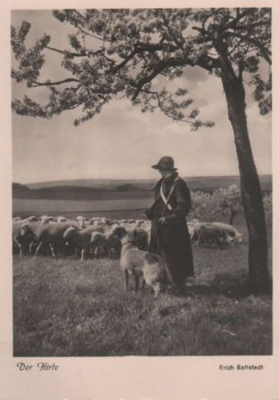 Der Hirte - 1951 Der Hirte - 1951