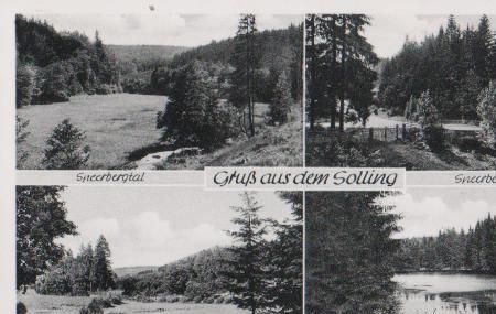 Uslar - Solling u.a. Tal bei Relliehausen - ca. 1955 Uslar - Solling u.a. Tal bei Relliehausen - ca. 1955