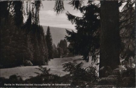 Pfalzgrafenweiler-Herzogsweiler - Partie im Waldachtal - 1964 Pfalzgrafenweiler-Herzogsweiler - Partie im Waldachtal - 1964