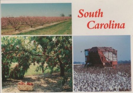 USA - South Carolina - 3 Teilbilder - ca. 1985 USA - South Carolina - 3 Teilbilder - ca. 1985