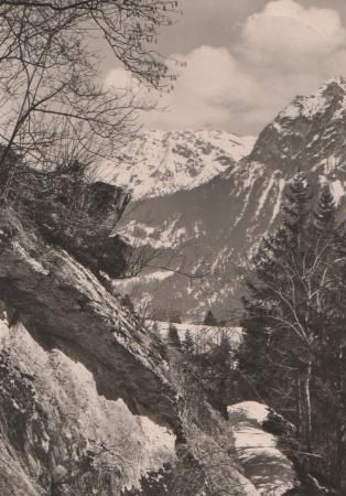 Tiefenbach b. Oberstdorf - Vorfrühling - 1960 Tiefenbach b. Oberstdorf - Vorfrühling - 1960