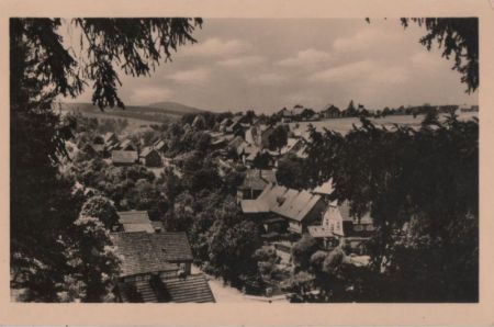 Tanne - 1957 Tanne - 1957