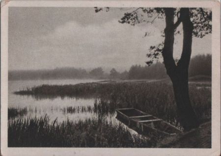 Boot im Schilf - ca. 1950 Boot im Schilf - ca. 1950