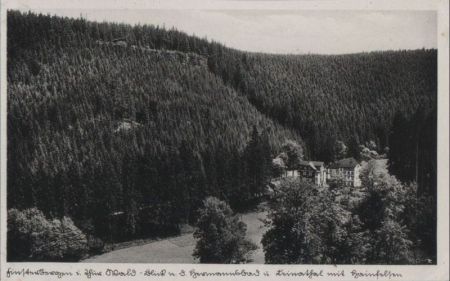 Finsterbergen - Wald-Blick nach dem Hermannsbad - ca. 1940 Finsterbergen - Wald-Blick nach dem Hermannsbad - ca. 1940