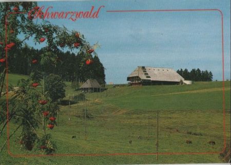Schwarzwald - Einsamer Hof Schwarzwald - Einsamer Hof