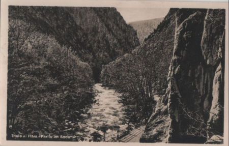 Thale - Partie im Bodetal - 1953 Thale - Partie im Bodetal - 1953