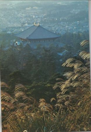 Japan - Nara - Tdaij Temple, Distant view - ca. 1990 Japan - Nara - Tdaij Temple, Distant view - ca. 1990