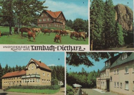 Tambach-Dietharz - u.a. Falkenstein - 1969 Tambach-Dietharz - u.a. Falkenstein - 1969