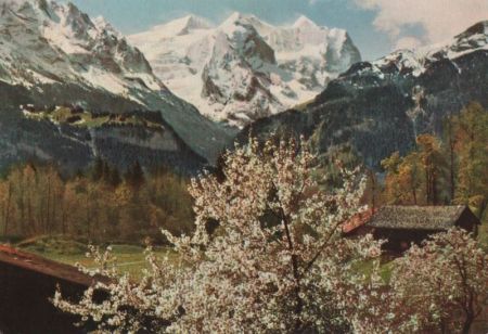 Schweiz - Wetterhorn - ca. 1970 Schweiz - Wetterhorn - ca. 1970