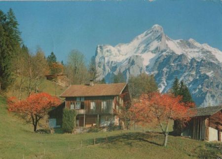 Schweiz - Grindelwald - 1965 Schweiz - Grindelwald - 1965