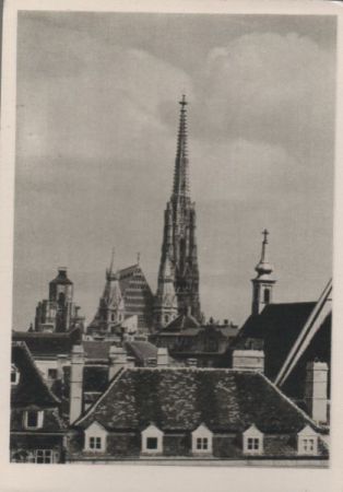 Österreich - Wien - Stephansdom - ca. 1955 Österreich - Wien - Stephansdom - ca. 1955