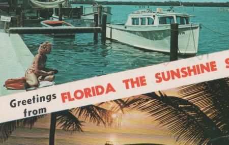 USA, Florida - Greetings from Florida - 1982 USA, Florida - Greetings from Florida - 1982