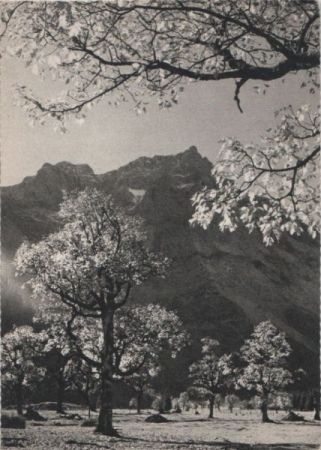 Österreich - Ahornboden - ca. 1955 Österreich - Ahornboden - ca. 1955