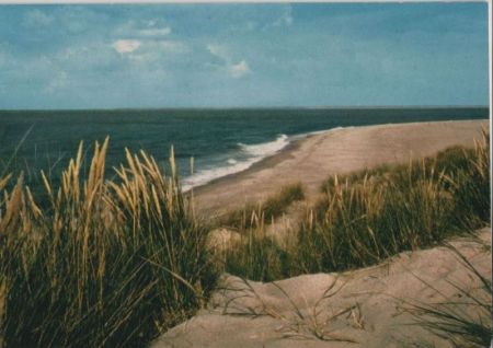 Dünen und Meer - ca. 1975 Dünen und Meer - ca. 1975